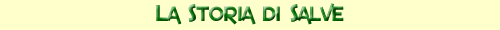 Storia di Salve