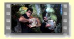 Pizzica - Video Musicale