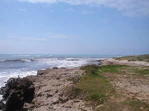 Lido Marini