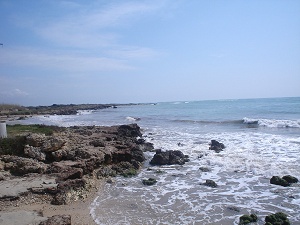 Lido Marini