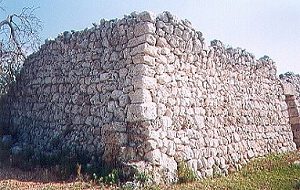 Muro a secco paralupi