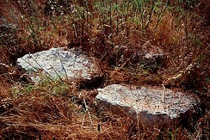 Dolmen Cosi a Pescoluse